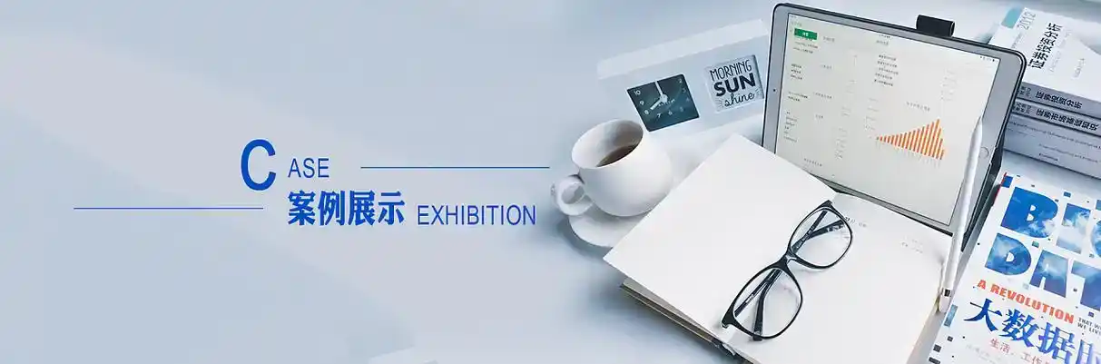 登封市软件开发